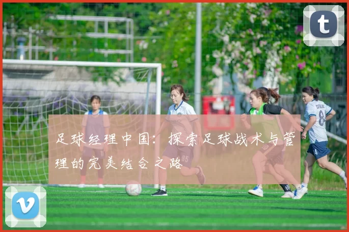 足球经理中国：探索足球战术与管理的完美结合之路