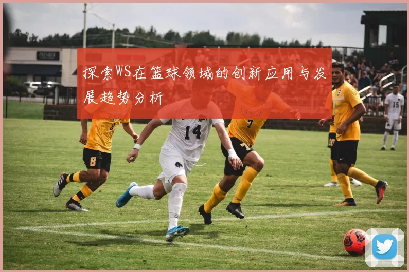 探索WS在篮球领域的创新应用与发展趋势分析