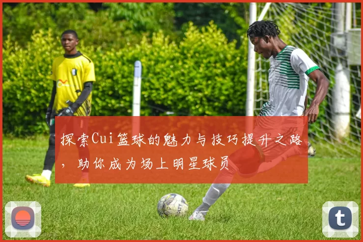 探索Cui篮球的魅力与技巧提升之路，助你成为场上明星球员