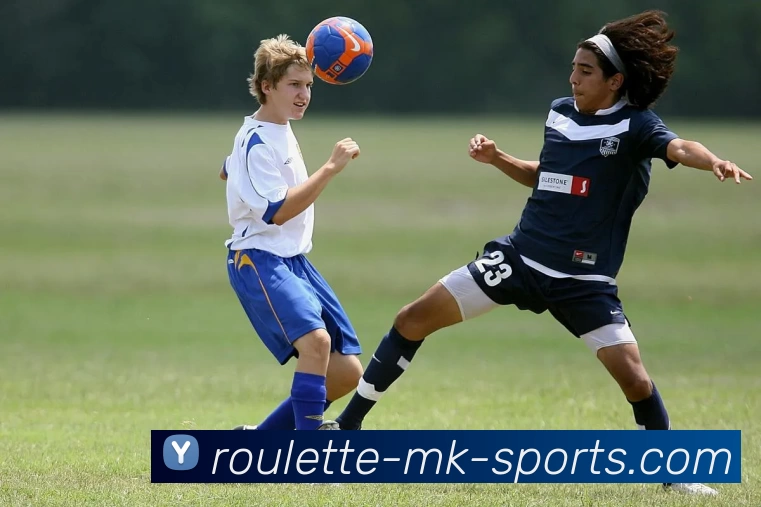 MK体育发展历程